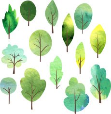set of different trees by watercolor N3