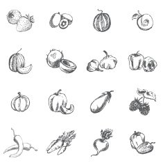 Vegetables berries and fruits N3