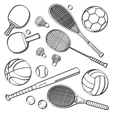 Sports Equipment Collections N5