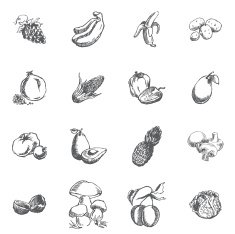 Vegetables berries and fruits N4