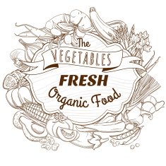 Outline hand drawn sketch vegetable wooden frame (flat style th N4