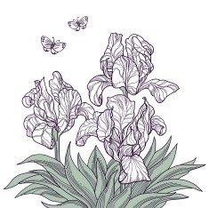 Flowers and butterflies line art