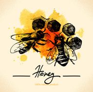 Honey background N7