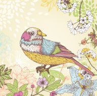 Summer bird N8