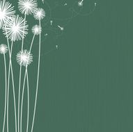 Dandelions N6