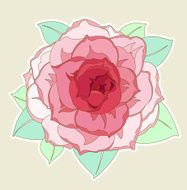 Beautiful pink rose drawing