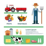 Organic Clean Foods Good Health Template Design Infographic Concept Vector