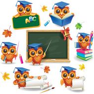Set of wise owls in graduation caps
