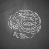 Brain Icon N2