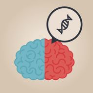 Brain Illustration N3