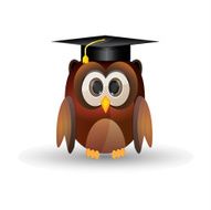 Owl graduation cap