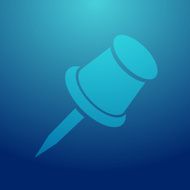 Pin Icon