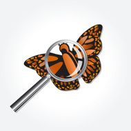 Monarch Butterfly On A Square