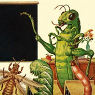 Insect Classroom