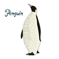 Bird penguin vector illustration N2