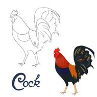 Educational game coloring book rooster bird vector N2