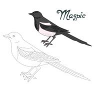 Educational game connect dots to draw magpie bird