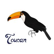 Bird toucan vector illustration N2