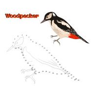 Educational game connect the dots to draw bird N10