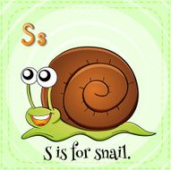 Flashcard letter S snail