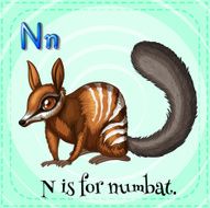 Flashcard letter N is for numbat