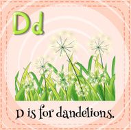 Flashcard letter D dandelions