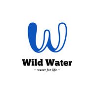 Vector modern creative W letter logo Abstract blue wave logotype N2
