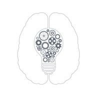 Human Brain N14
