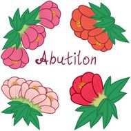 Cute abutilon set colorful flowers collection N2