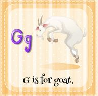 Flashcard letter G goat