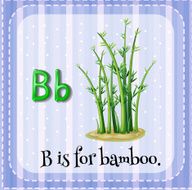 Flashcard letter B bamboo