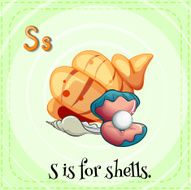 Flashcard letter S shells
