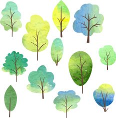 set of different trees by watercolor N4