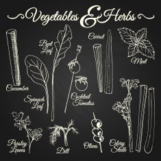 VEGETABLES & HERBS chalkboard