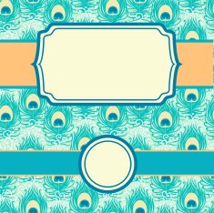 Peacock Feathers Seamless Pattern And Frames Set