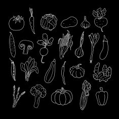 Set of hand drawn vegetables N6