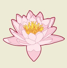 Lotus Line Art N2