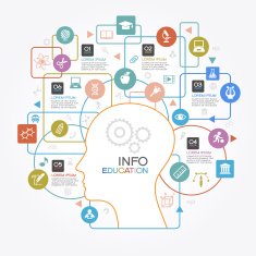 Flat linear Infographic Education N2