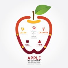 infographics vector apple brain design diagram line style