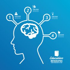 vector brain design diagram line infographics options banner