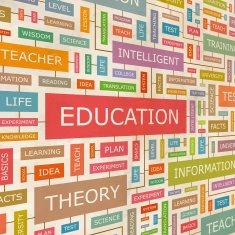Education N29