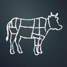 Cow chalk painted on chalkboard outline vector illustration