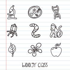 Biology class N2