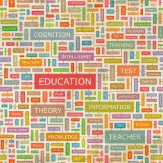 Education N31