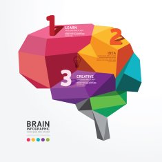 Vector infographic Brain Design Conceptual Polygon Style