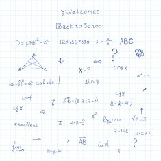 School notebook N11
