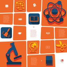 Education flat infographic N9