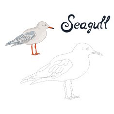 Educational game connect dots draw seagull bird N2