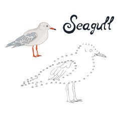 Educational game connect dots to draw seagull bird N2