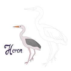 Educational game connect dots to draw heron bird N2